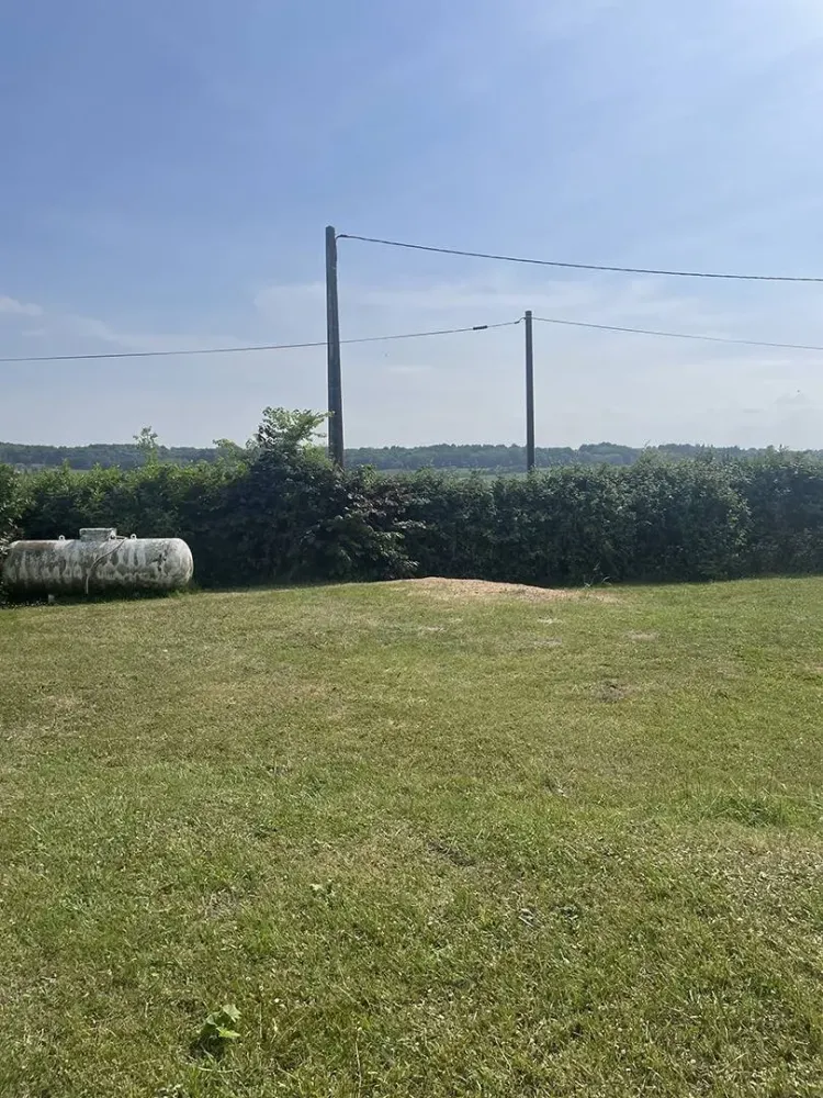 lagage abattage d'arbre (10)