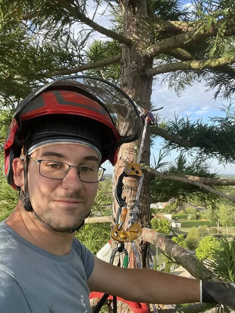 lagage abattage d'arbre (19)
